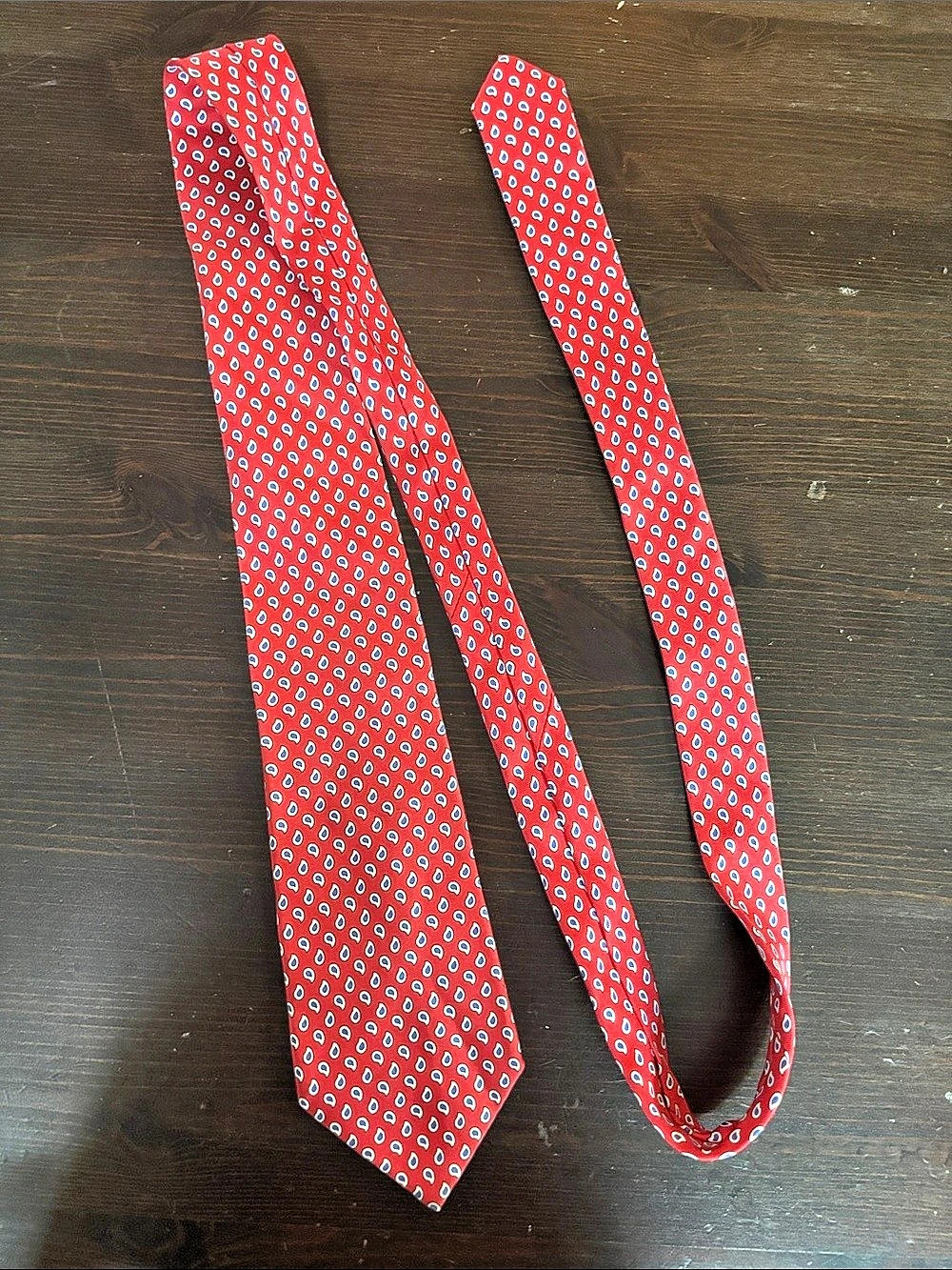 Paisley Tie in Red & Blue